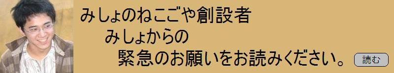 みしょのねこごや創設者 みしょ からの緊急のお願いをお読みください。