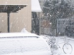 大雪！(3)