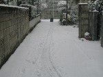 雪の上にsuitcaseの跡……(1)